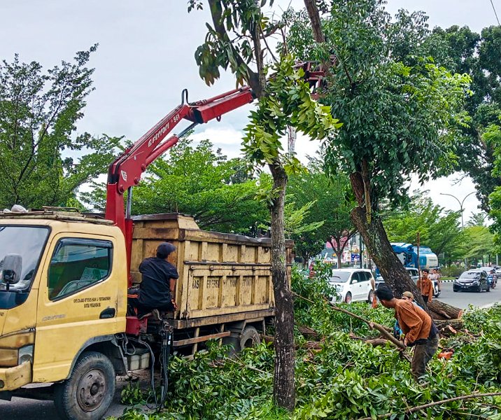 Pekerja DLHK Pekanbaru saat memangkas ranting pohon di Jalan Jenderal Sudirman, Selasa (13/2/2024). Foto: Istimewa.