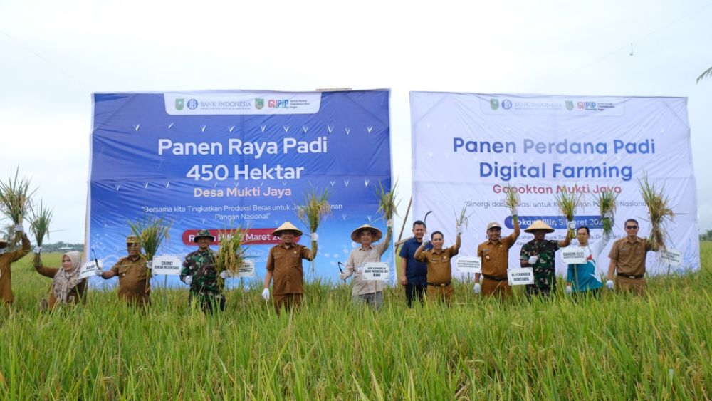 Panen raya padi di Rokan Hilir