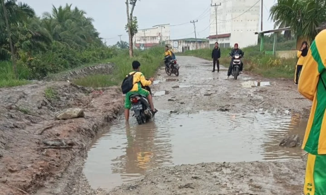 Jalan lintas Bagansiapiapi-Sinaboi/Riaulink.com