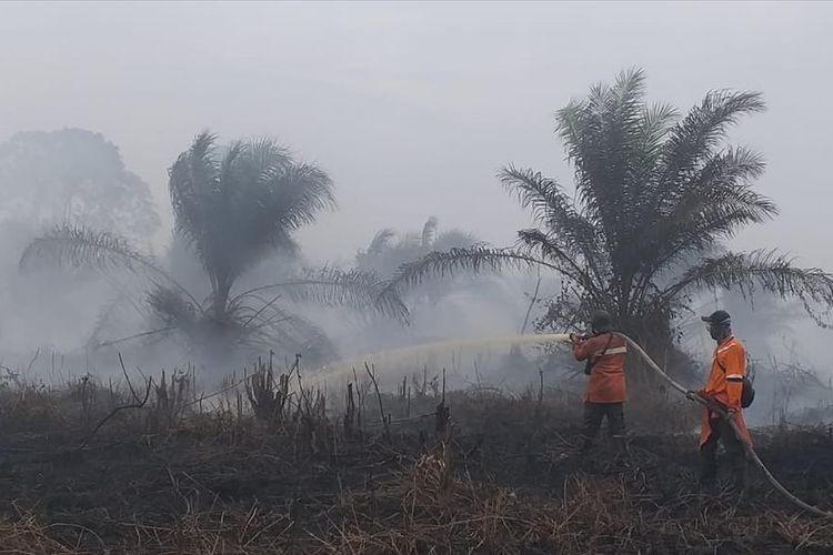 Ilustrasi/Kompas