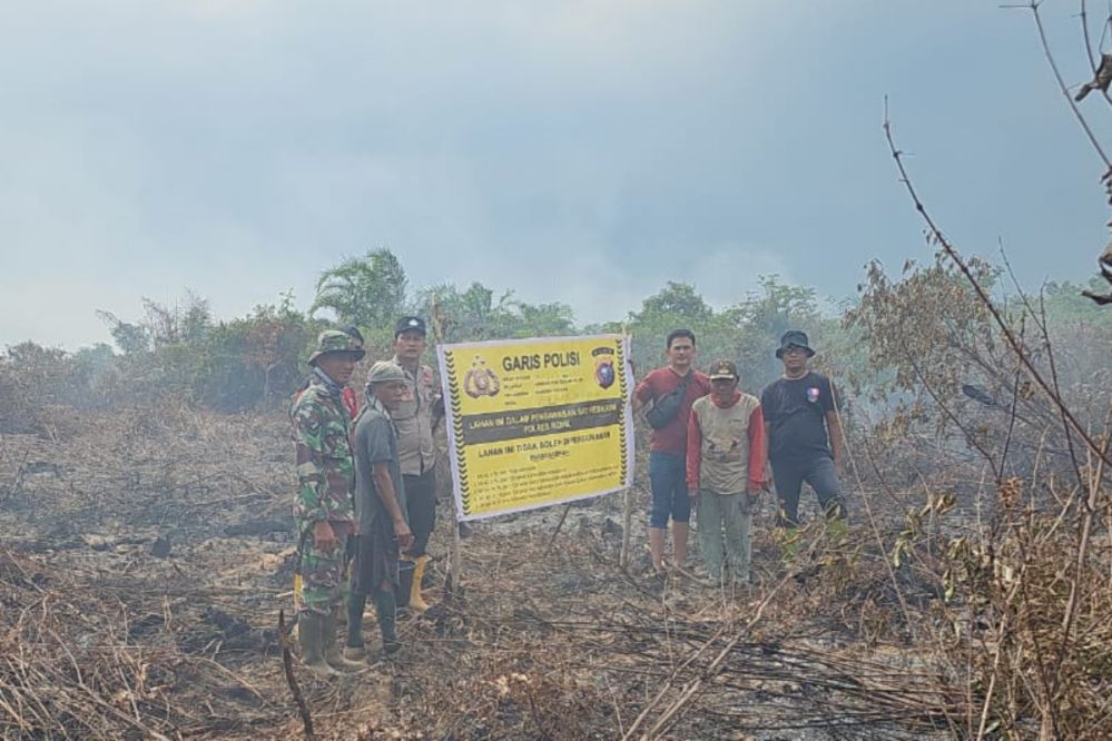 lahan yang dibakar