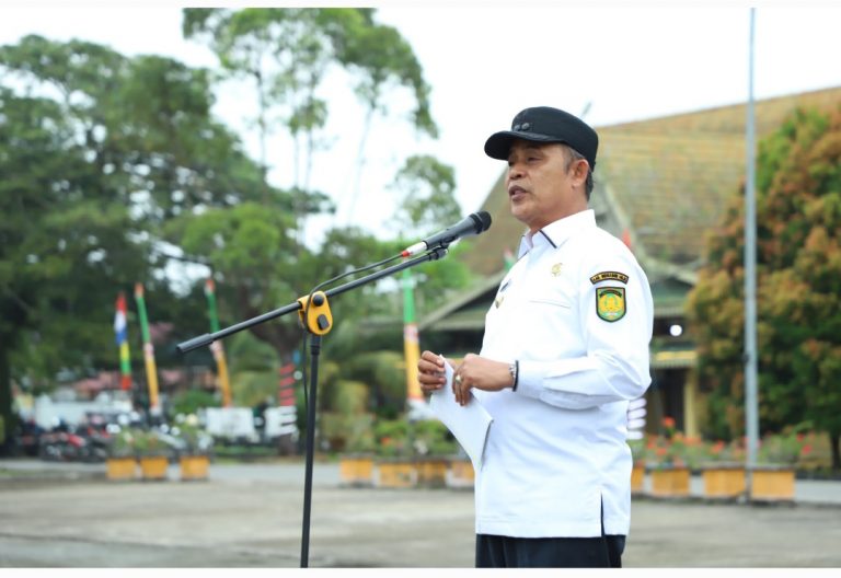 Pj Bupati Indragiri Hilir (Inhil) Herman