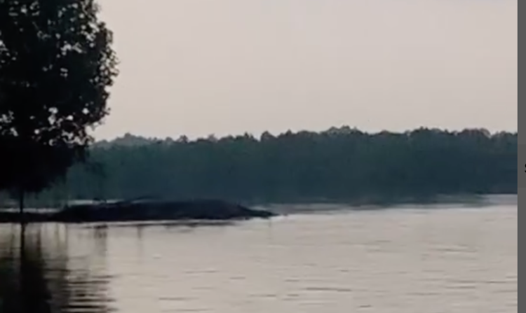 Pulau Temoyong, Kecamatan Bulang, Kota Batam/Batamnews