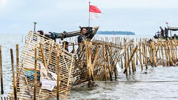 Pagar Laut Bambu di Tangerang/Antara