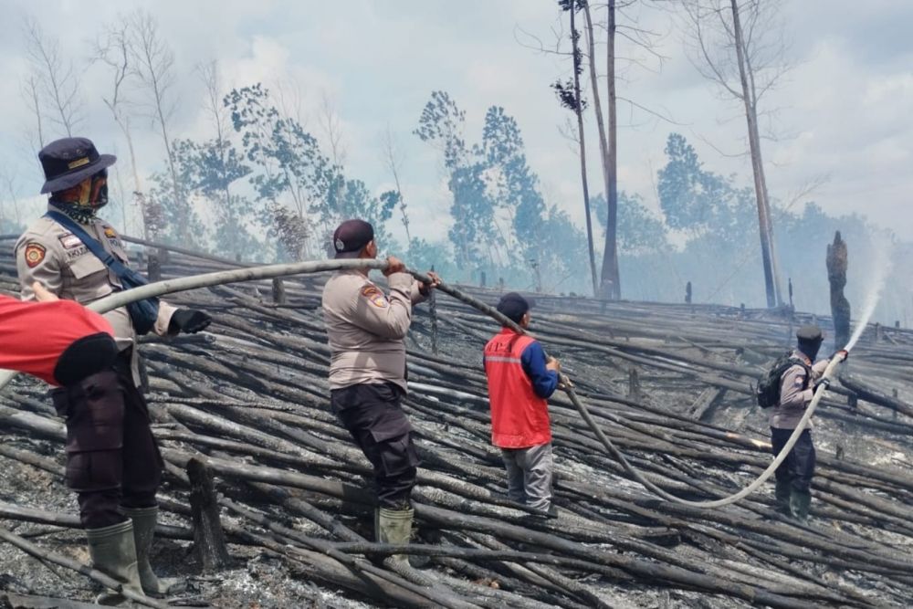 Kawasan TNTN Pelalawan yang terbakar