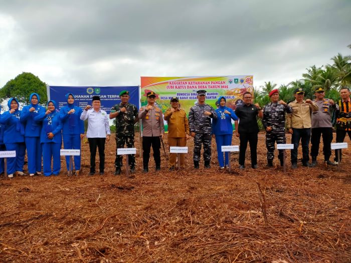 Komandan Pangkalan TNI Angkatan Laut Dumai, Kolonel Laut (P) Abdul Haris beserta istri Dewi Abdul Haris didampingi wabup Bagus Santoso, Kapolres AKBP Budi Gunawan, Danramil 01/Bengkalis Kapten Arm Yogi Sudarso, anggota DPRD Hendra Jeje dan forkopimda lainnya menanam 3000 mangrove.