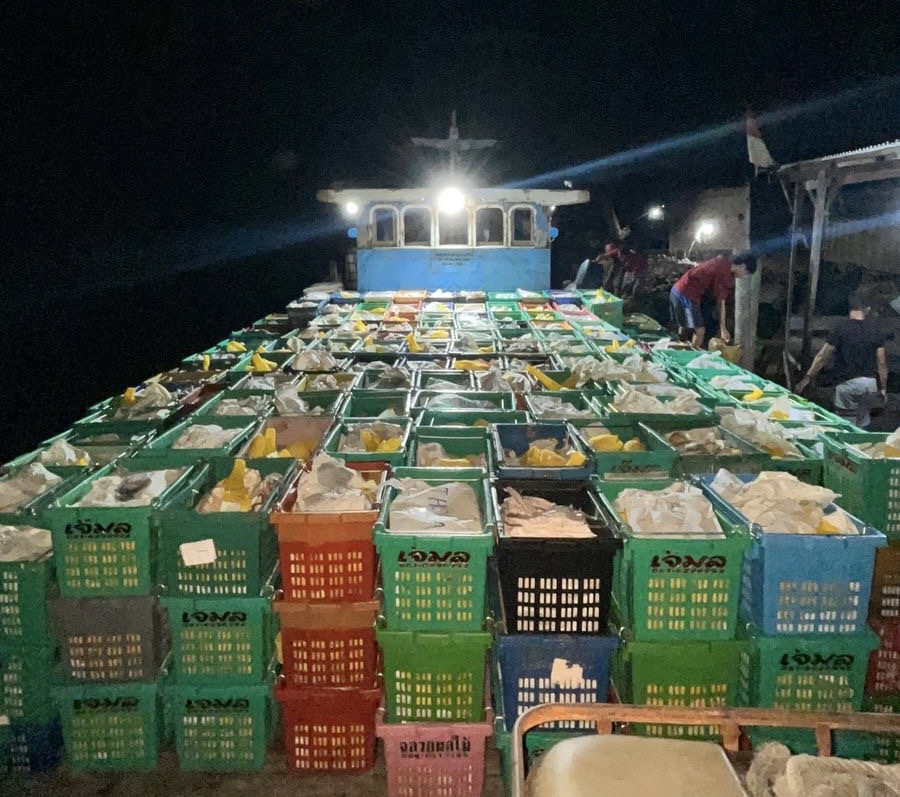 Belasan ribu kilogram mangga ilegal yang akan dipasok ke Inhil