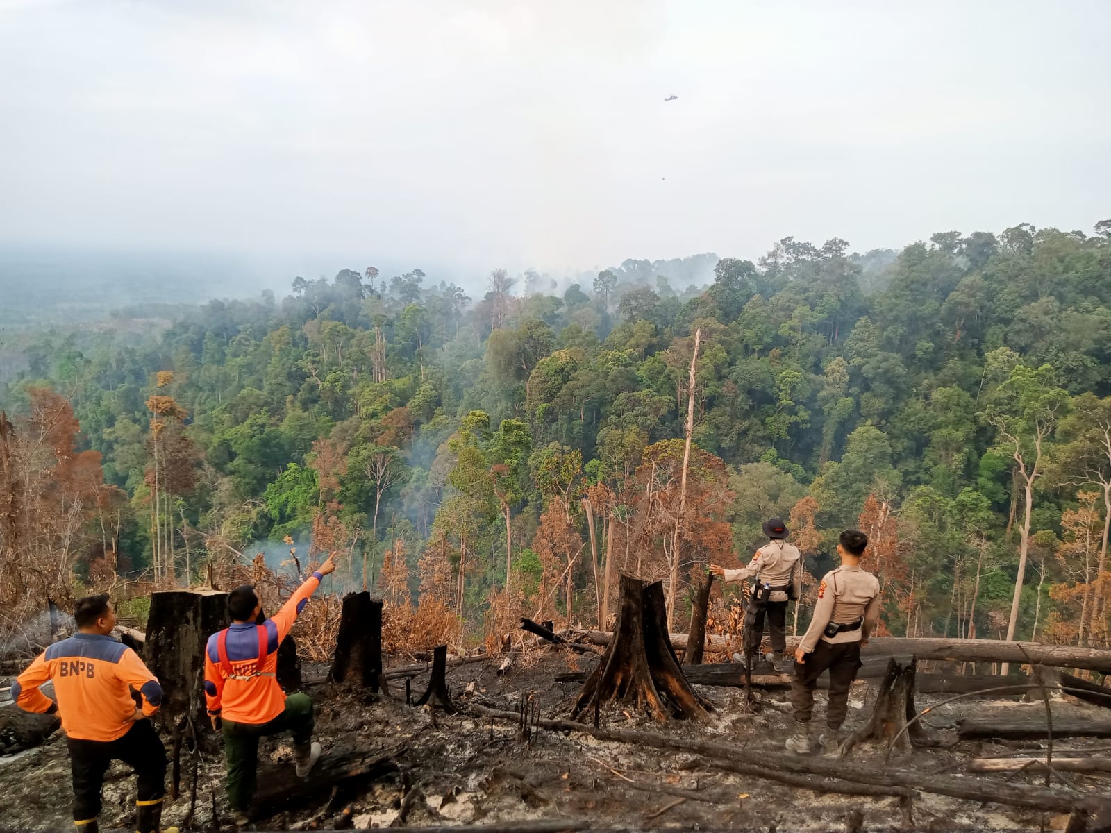 Kapolres Rokan Hulu Lakukan Verifikasi dan Pengecekan Karhutla di Desa Menaming, Lakukan Pendinginan dengan Menggunakan Water Bombing Helikopter