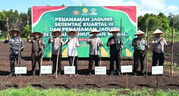 Polres dan Pemkab Bengkalis Tanam Jagung di Kampung Tangguh