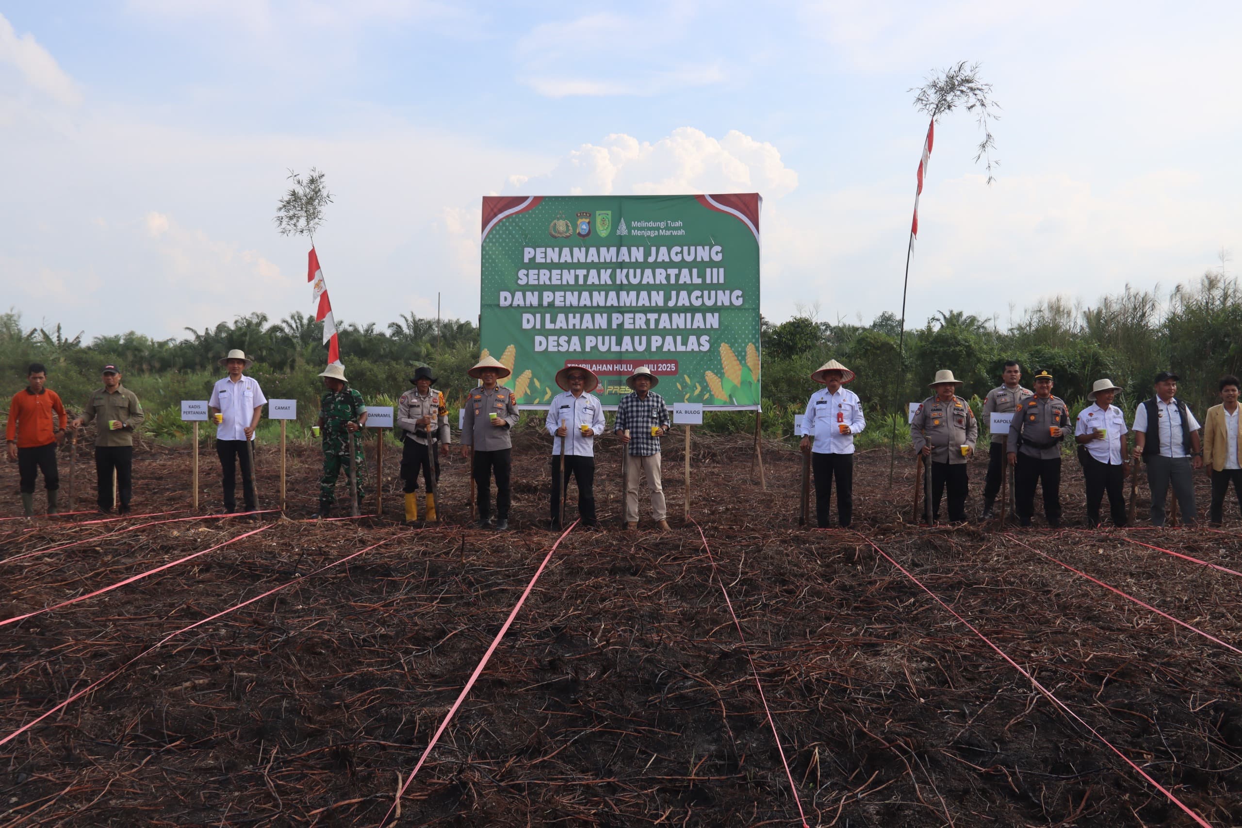 Penanaman jagung program nasioanl di Tembilahan Inhil