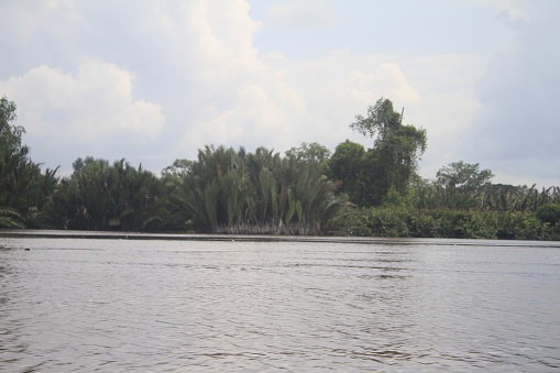 Sungai Indragiri/iStock