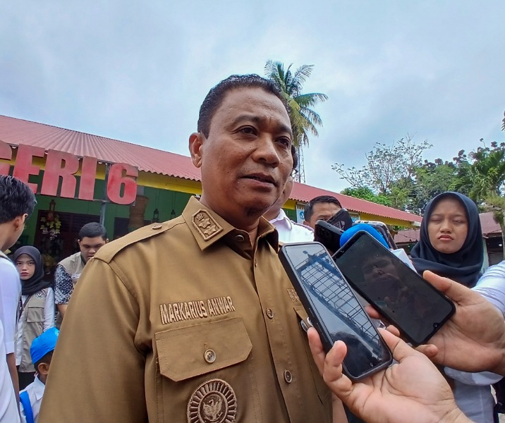 Wakil Wali Kota Pekanbaru Markarius Anwar. Foto: Surya/Riau1.