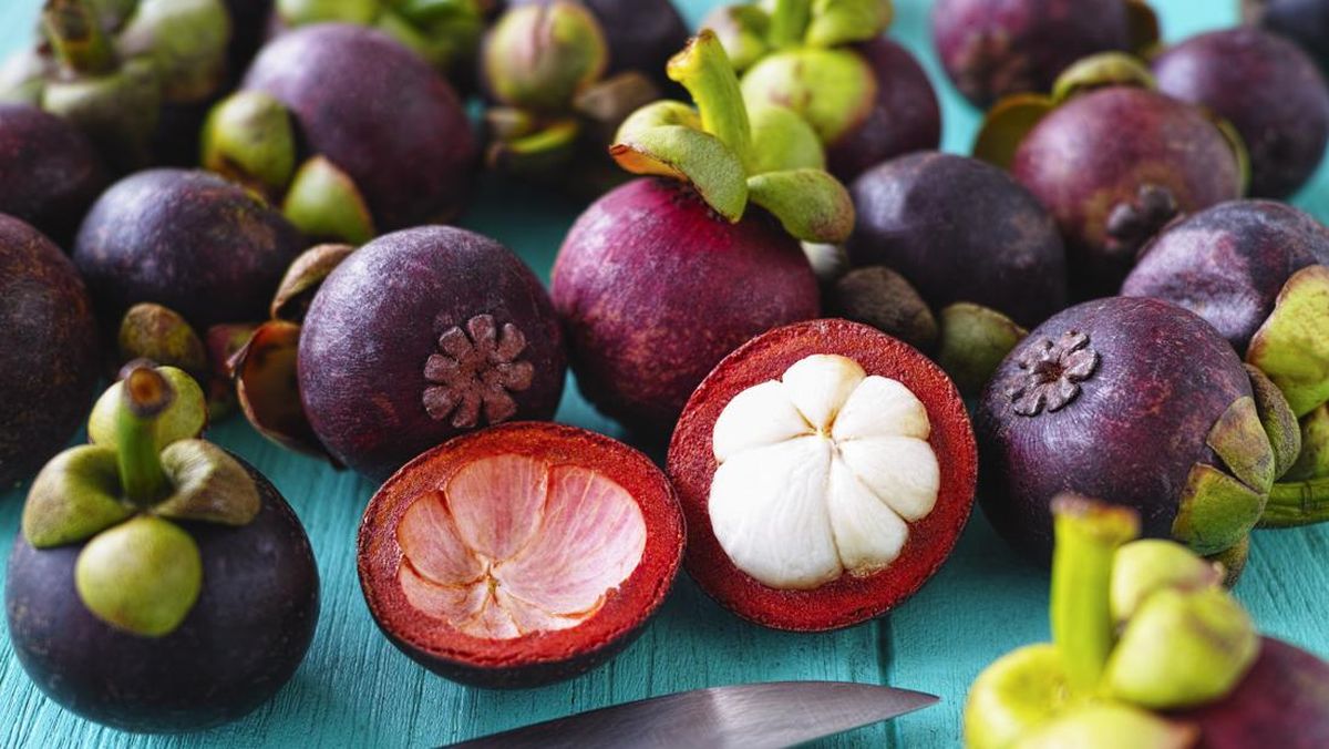 Buah manggis