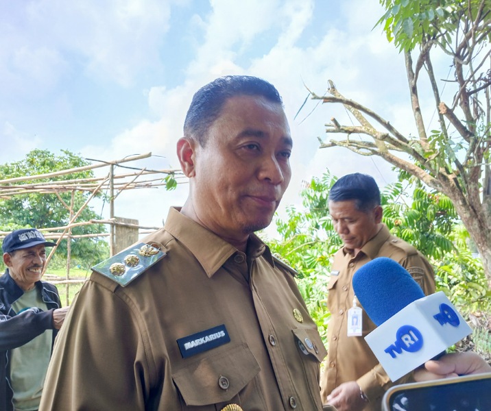 Wawako Pekanbaru Markarius Anwar. Foto: Surya/Riau1.