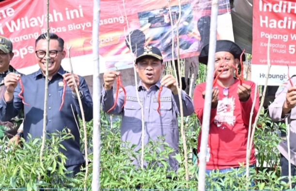Petani Wonosari Barat Sukses Kembangkan Cabai Merah di Lahan Gambut