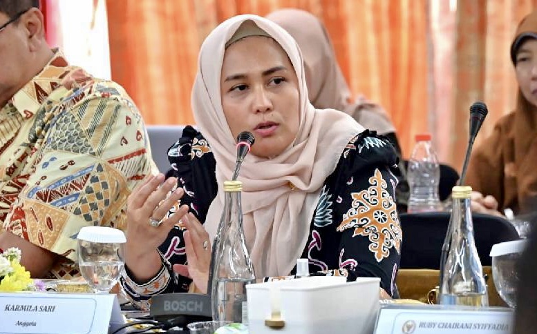 Anggota DPR RI Komisi X, Dr Hj Karmila Sari