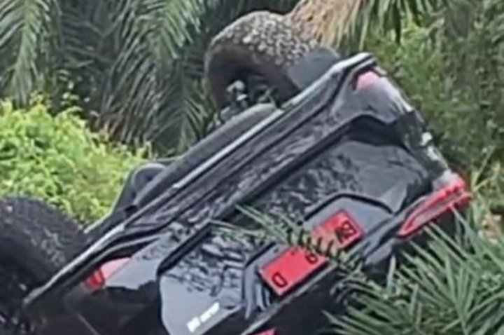 Wakil Ketua IIA DPRD Bengkalis Lakalantas di Jalan Lintas Banlak -  Dumai