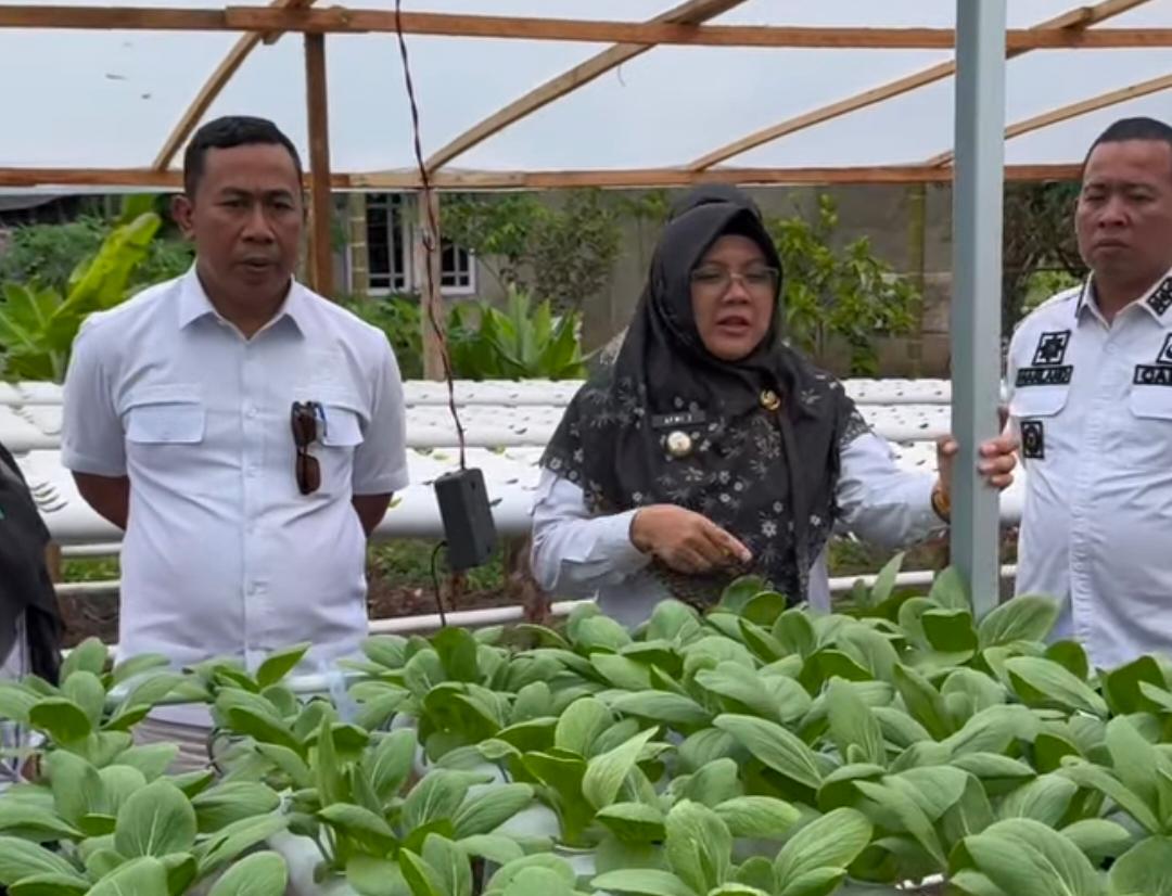 Bupati Siak, Afni tinjau usaha pertanian masyarakat