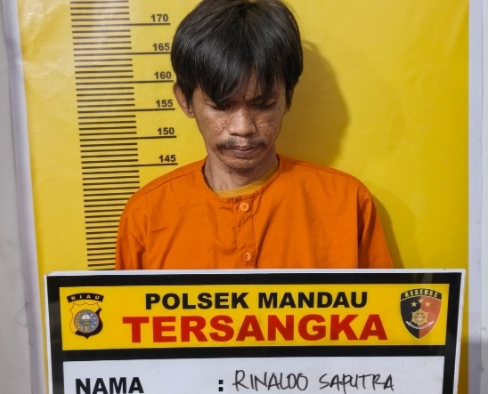 RS Pelaku Modus Janji Kerja Ditangkap Polsek Mandau