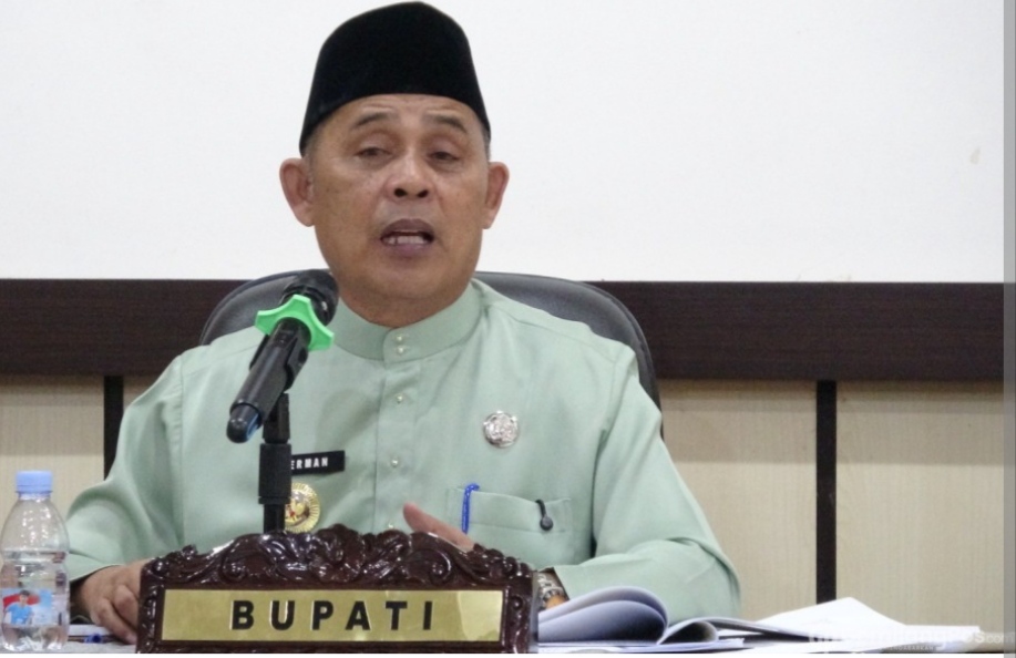 Bupati Indragiri Hilir, Herman