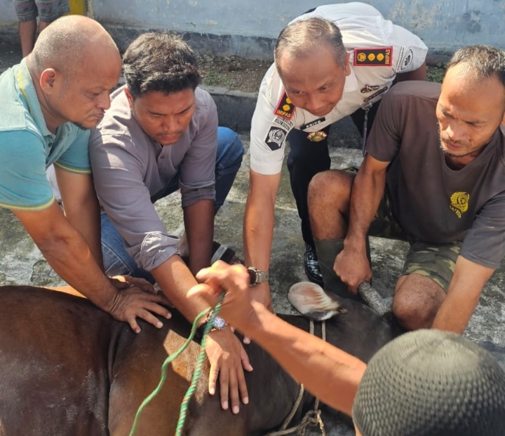 Lapas Bengkalis Sembelih 2 ekor Sapi dan Satu Kambing