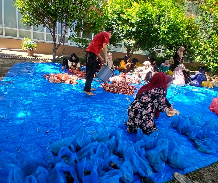 Disdik Pekanbaru memotong tujuh sapi pada Hari Raya Iduladha tahun ini. Foto: Surya/Riau1.