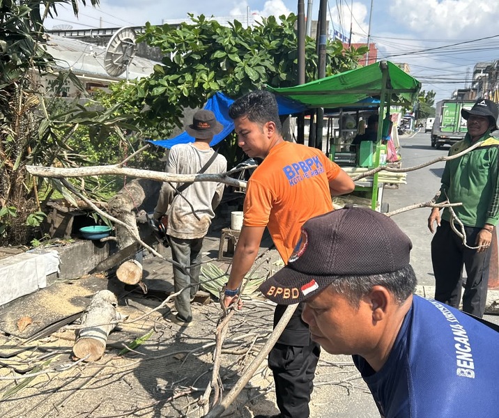Petugas BPBD Pekanbaru dan DLHK membersihkan potongan pohon tumbang. Foto: Istimewa.
