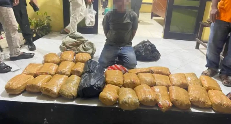 Pelaku dan paket ganja yang diamankan petugas