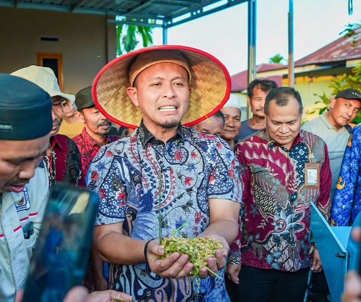 Wali Kota Pekanbaru Agung Nugroho memegang bulir padi hasil panen di Rumbai. Foto: Surya/Riau1.