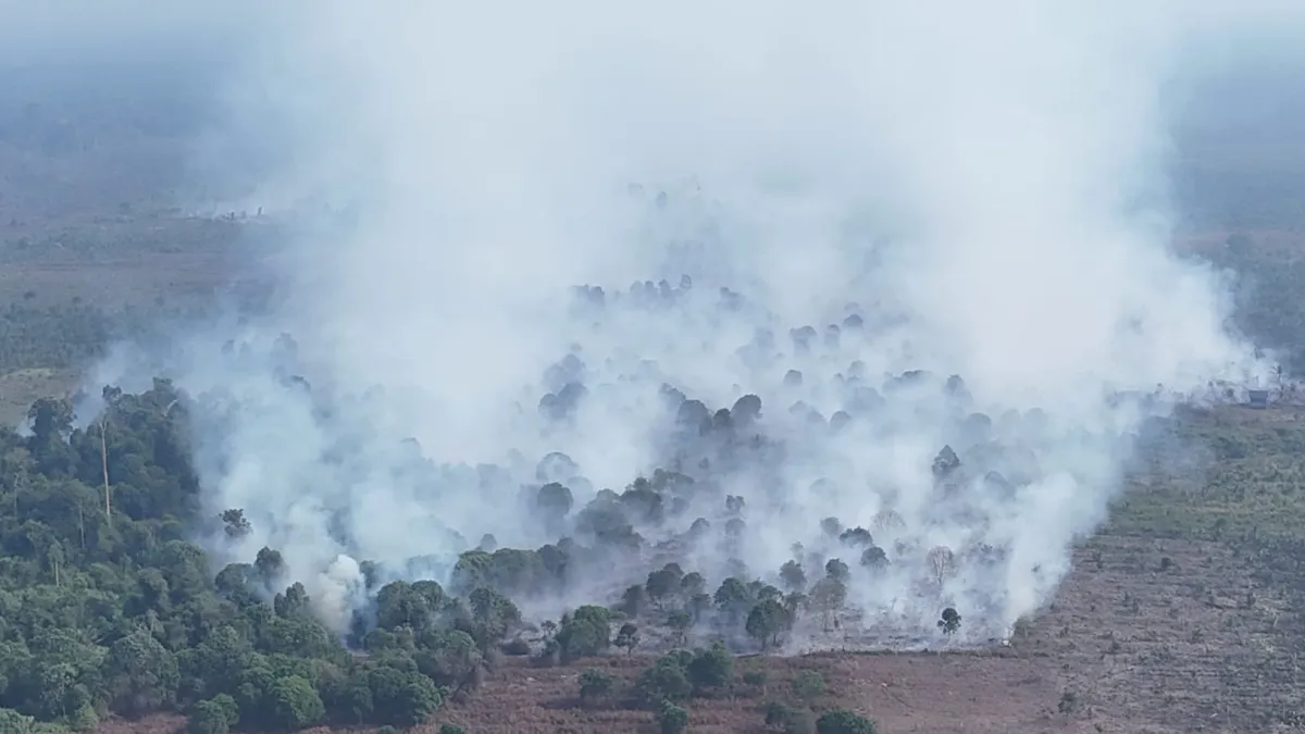 Kawasan terdampak karhutla di wilayah Indragiri Hilir