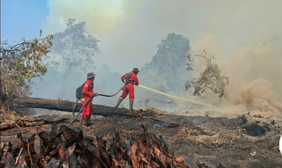 Upaya pemadaman karhutla