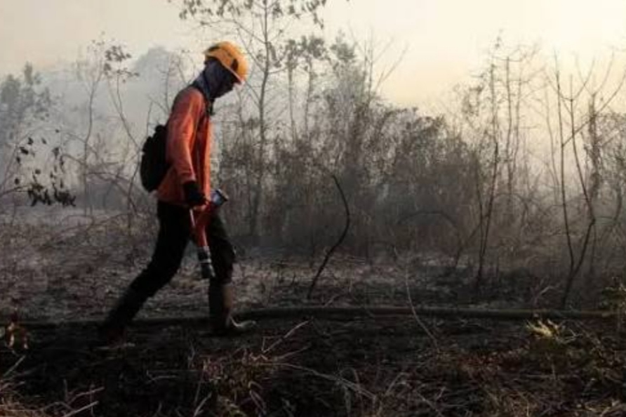 Lahan terbakar