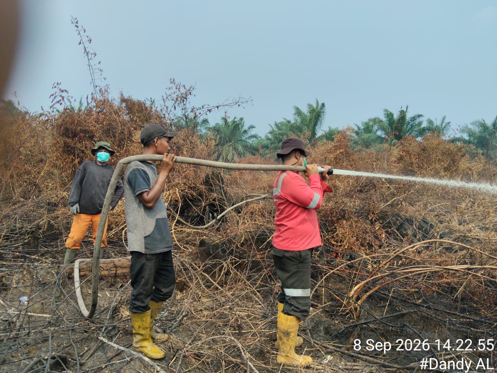 Potret APHI Lakukan Pemadaman Terhadap Lahan yang Terbakar. (Istimewa)