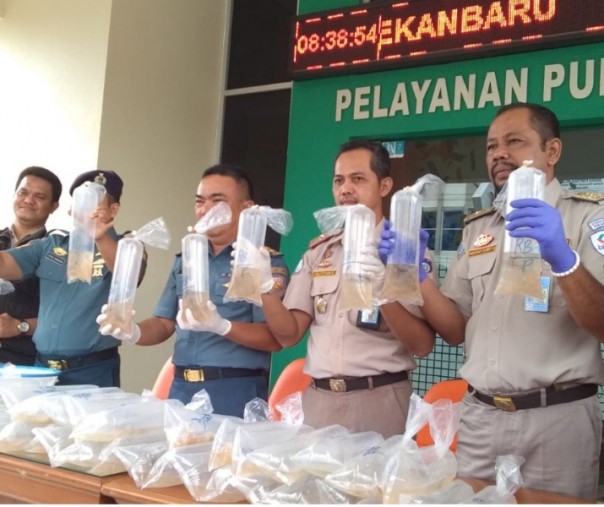 Pihak TNI AL Lanal Dumai dan karantina ikan klas I Pekanbaru dalam ekspose diamanmannya 10 ribu ekor baby lobster.
