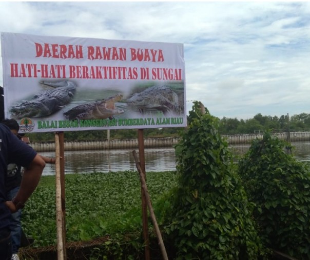 Papan imbauan yang dipasang BBKSDA Riau di tepian Sungai Siak, Kamis siang tadi