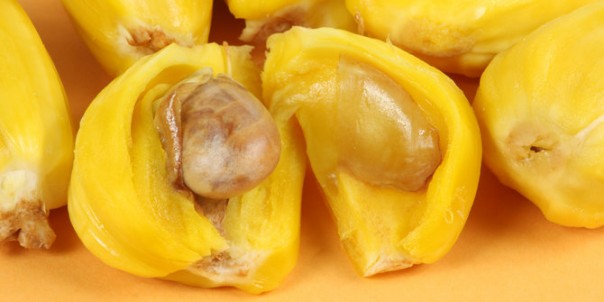 Buah nangka