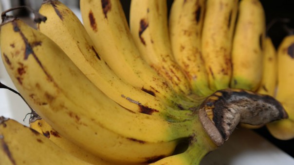 Buah pisang