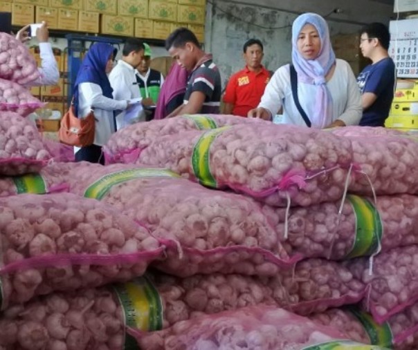 Tim Satgas Pangan melakukan sidak bawang putih. Foto: Antara.