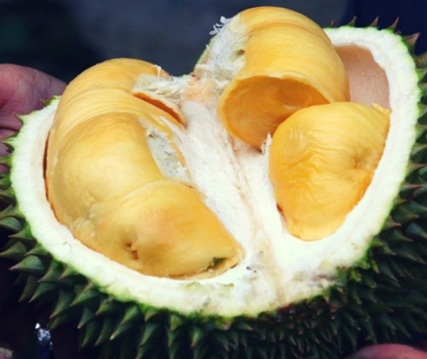 Durian. Foto: Pixabay.