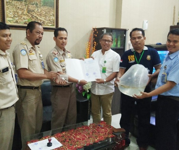 Kepala SKIPM Pekanbaru Eko Sulystianto saat menyerahkan barang bukti 24 ekor ikan Arwana Golden kepada BBKSDA Riau, Kamis (16/5/2019). Foto: Istimewa.