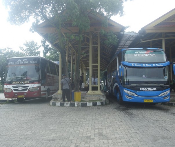 Dua bus dari luar Provinsi Riau saat singgah di Terminal AKAP Pekanbaru. Foto: Surya/Riau1.
