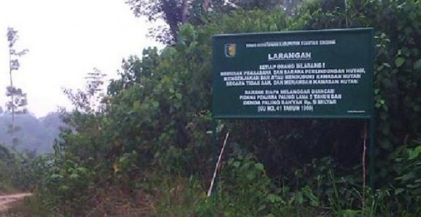 Hutan Lindung Bukit Betabuh Kuansing