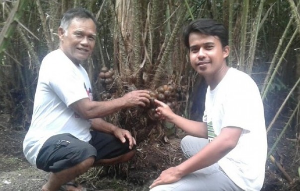 Mukadi (kiri) menunjukkan jenis salak madu yang tengah dikembangkannya di Kecamatan Dayun, Siak (foto: rizal/riau1.com))