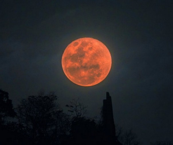 Gerhana bulan (Foto: Istimewa/Internet)