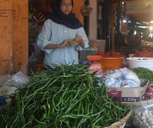 Ilustrasi cabai hijau. Foto: Surya/Riau1.