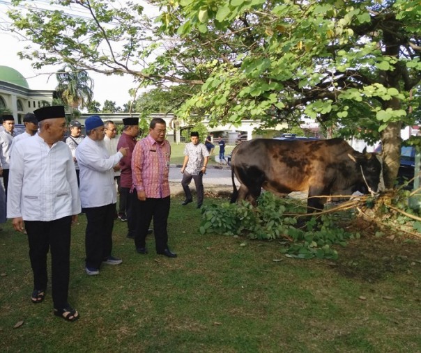 Mantan Gubernur Riau, Arsyadjuliandi Rachman menyerahkan langsung sapi kurban milik presiden RI, Joko Widodo tahun 2018 (Foto: Zar/Riau1.com)