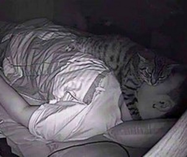 rekaman CCTV kucing yang lagi tidur dimuka majikan (Foto: Istimewa/Twitter@stluis_htx)