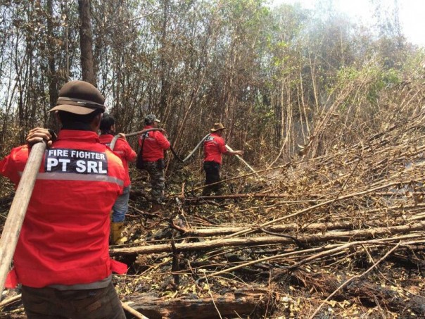 Ilustrasi petugas pemadaman kebakaran hutan dan lahan di Riau beberapa waktu lalu. 