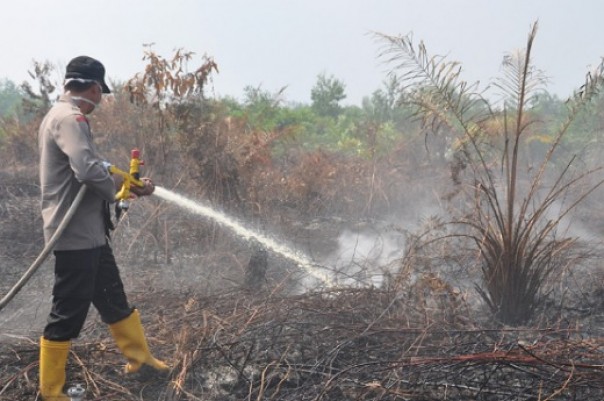Kapolres Siak, AKBP Ahmad David ikut memadamkan api di lahan yang terbakar