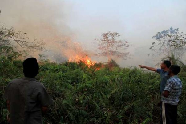 Ilustrasi kebakaran hutan dan lahan di Aceh Barat beberapa waktu lalu. 